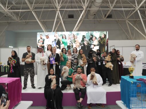 Who Will Be Crowned Cat Queen and Dog Village Champion in Riyadh? Exceptional Experiences Await You at the Saudi Pet & Vet Expo 2026