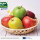 New-season French must-have set to arrive on GCC shelves this month